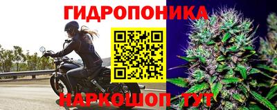 эйфоретик Тулун